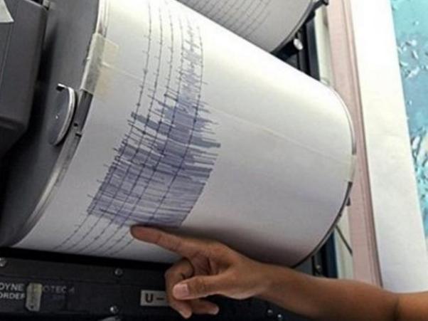 Cutremur de 4 grade pe scara Richter, în Vrancea