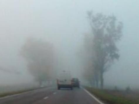 Avertizare meteo: Condiţii de ceaţă în zonele joase din Crişana şi Transilvania