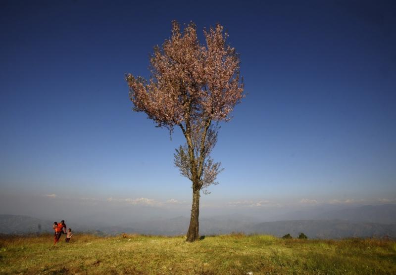 25 noiembrie 2011. Imaginile zilei 3006580