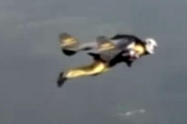 Premieră: Yves Rossy, omul cu aripi cu propulsie, a zburat deasupra Alpilor Elveţieni (VIDEO)