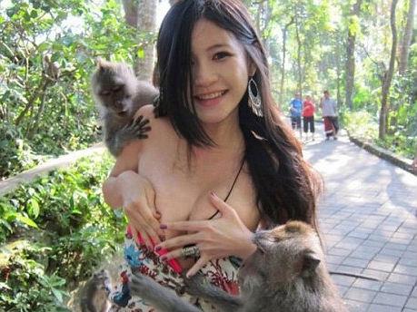 Doi macaci au dezbrăcat, la propriu, o turistă într-un parc natural din Indonezia