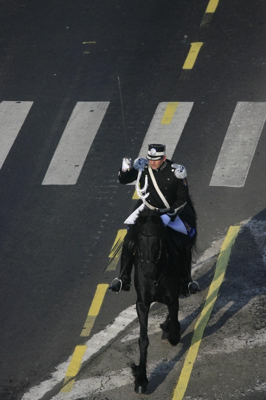 Ziua Natională a României. Arcul de Triumf 3185964