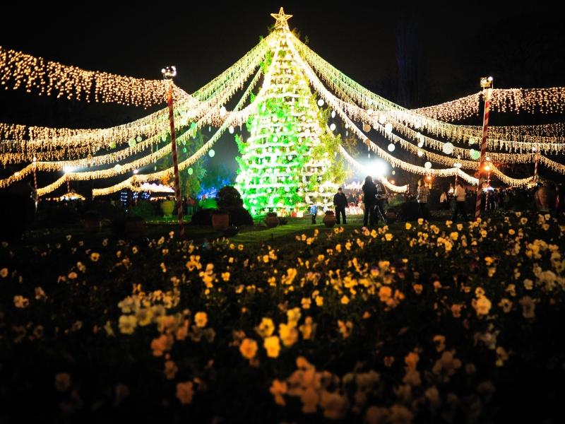 5,4, 3, 2, 1 şi s-a făcut Lumină! S-au aprins luminile de Crăciun în Bucureşti