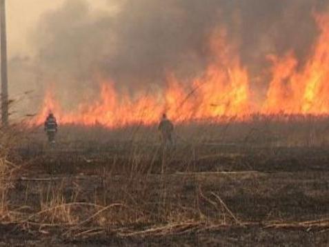 Sute de hectare de vegetaţie ard la Caraş-Severin