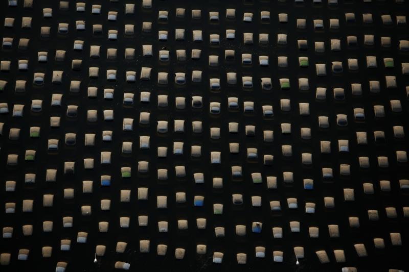 Evenimetele anului 2011 în imagini 3424470