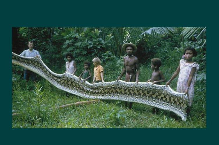 Imagini inedite: Faceţi cunoştinţă cu Agta, tribul din Filipine care vânează şerpi gigantici (VIDEO)