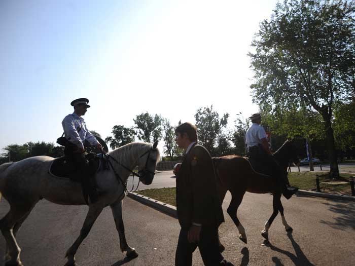 Dar cu caii ce-or avea? Serviciul de pază călare, disputat în şedinţa Consiliului General al Capitalei