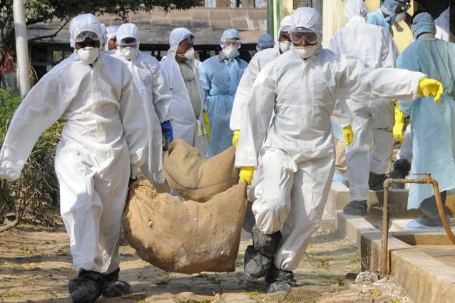 Gripa aviară a provocat moartea unui bărbat din China, primul caz după 18 luni