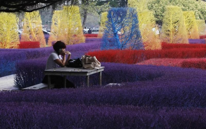 5 ianuarie 2012. Imaginile zilei 5786089