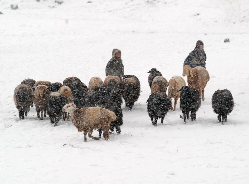 5 ianuarie 2012. Imaginile zilei 5786092