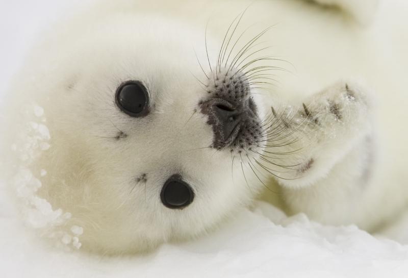 5 ianuarie 2012. Imaginile zilei 5786099