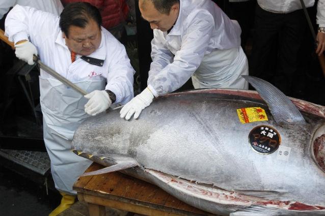 În Japonia a fost vândut cel mai scump peşte din lume. Vezi cât a plătit proprietarul unui lanţ de restaurante pentru un ton (VIDEO)