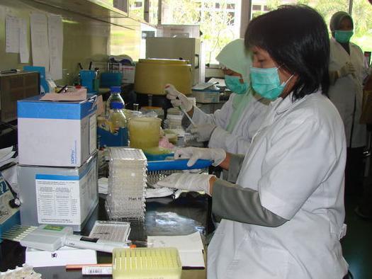 Deces provocat de gripa aviară, confirmat în Indonezia. Oficialii se tem de revenirea epidemiei H5N1