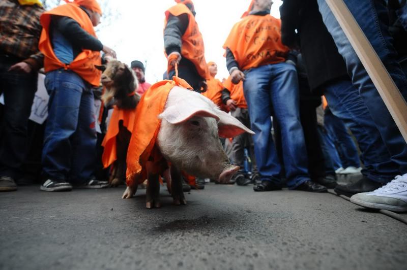 Cea de-a 7-a zi de proteste anti-guvernamentale si anti-prezidentiale 6487652