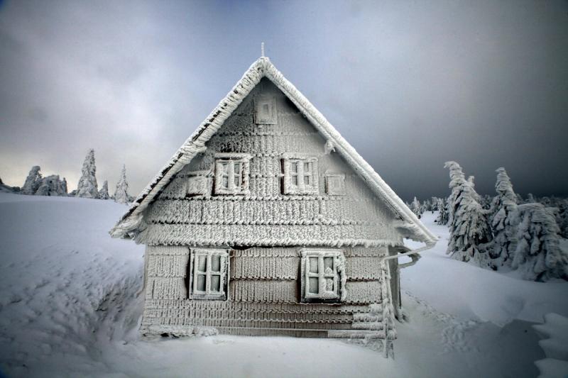 27 ianuarie 2012. Imaginile zilei 6939825