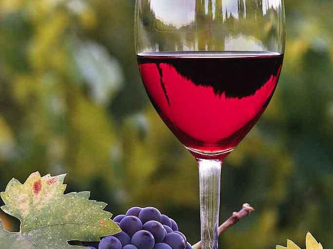 Norme UE pentru vinurile bio