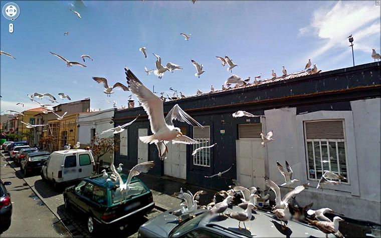 GALERIE FOTO: Cele mai ciudate imagini de pe Google Street View 8201507