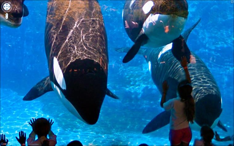 GALERIE FOTO: Cele mai ciudate imagini de pe Google Street View 8201509