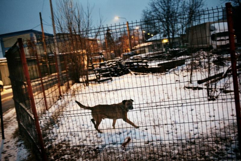 În bucătăria protestatarilor. Un fotoreportaj de Mugur Vărzariu 8549218