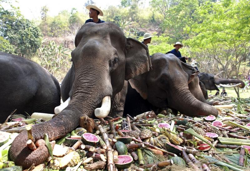 13 martie 2012. Imaginile zilei 9135096