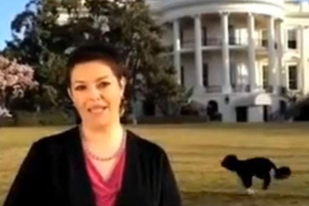 VIDEO: Câinele lui Obama vrea să apară neapărat la televizor. Bo a intrat în direct la o televiziune spaniolă