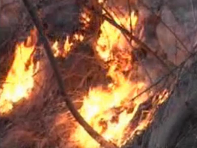 Incendiu în Parcul Naţional Defileul Jiului: Flăcările au cuprins aproape 100 de hectare de vegetaţie uscată