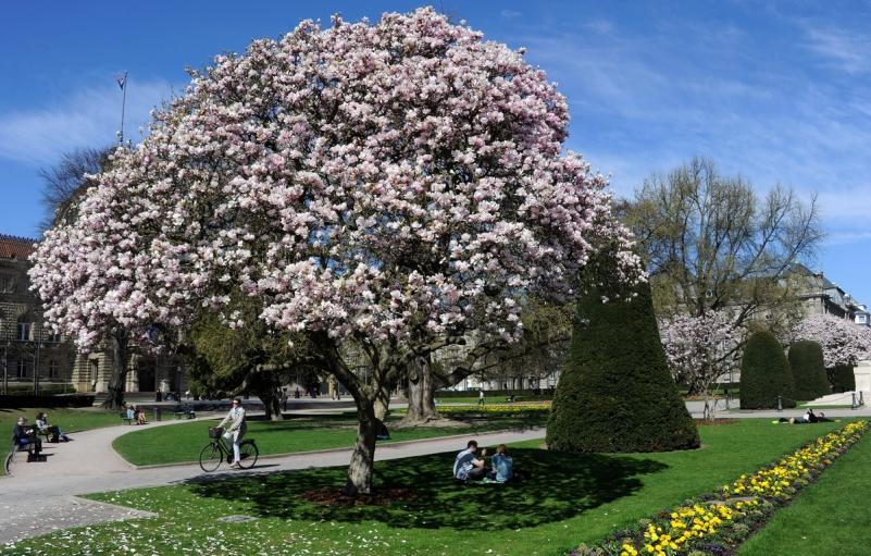 26 martie 2012. Imaginile zilei 9673806