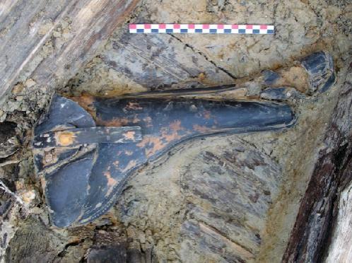 (VIDEO + FOTO) Cadavrele mumificate a 21 de soldaţi germani, din Primul Război Mondial, descoperite în Franţa 9743450