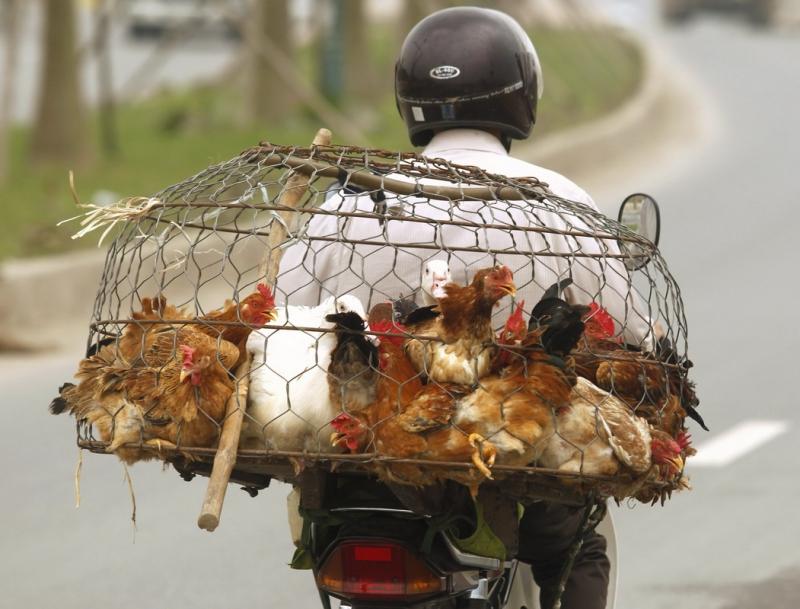 30 martie 2012. Imaginile zilei 9891181