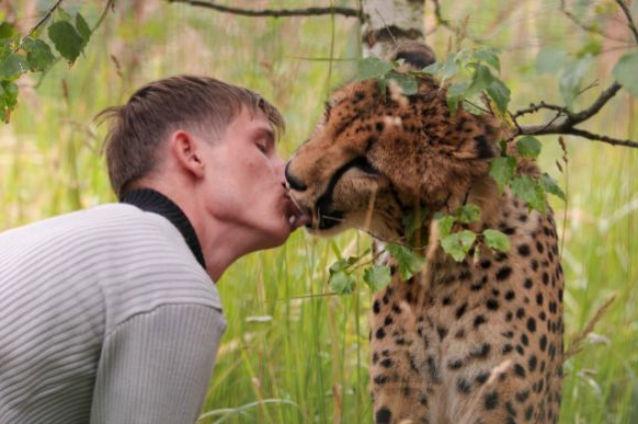 Imagini impresionante cu un ghepard care pupă un student rus