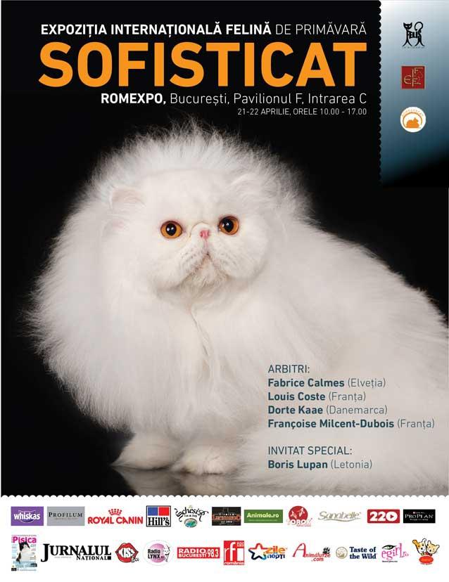 Campioana mondială a pisicilor vine la bucureşti pentru Expoziţia Internaţională Felina de Primăvară