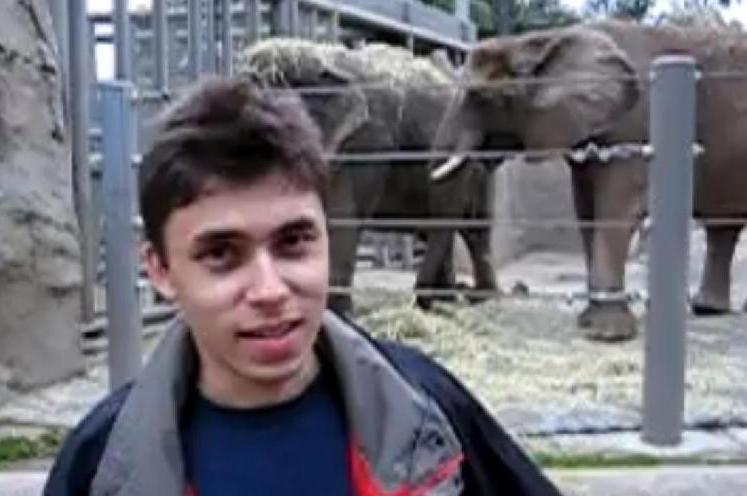 7 ani de la înfiinţarea YouTube. "Me at the zoo", primul clip postat pe platforma care a revoluţionat Internetul (VIDEO)