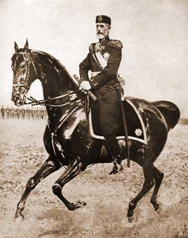 Un buchet de trandafiri roşii pentru Rege 11816279