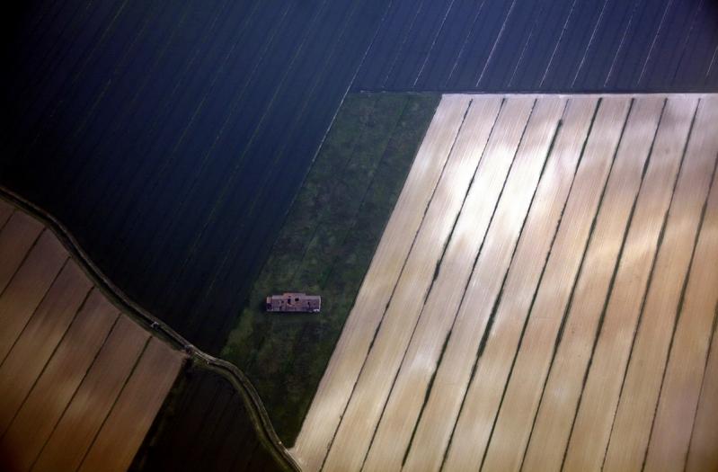 14 mai 2012. Imaginile zilei 11966861