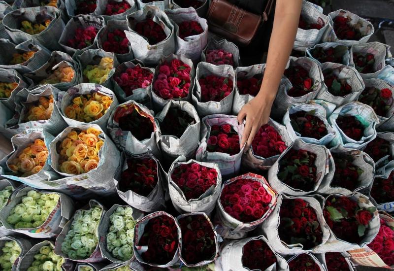 15 mai 2012. Imaginile zilei 12029795