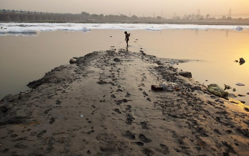 15 mai 2012. Imaginile zilei 12029803