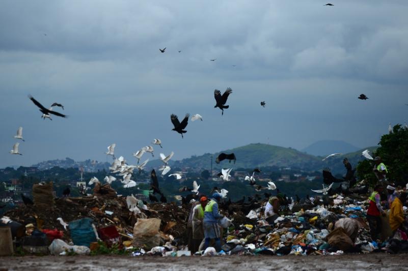 16 mai 2012. Imaginile zilei 12069158