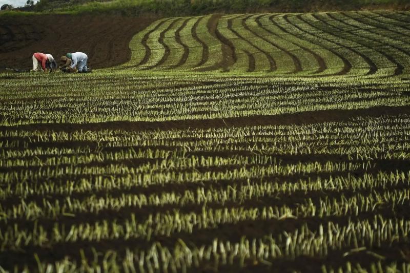 16 mai 2012. Imaginile zilei 12069165