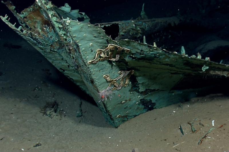 Epava unei nave din 1800, descoperită în Golful Mexic