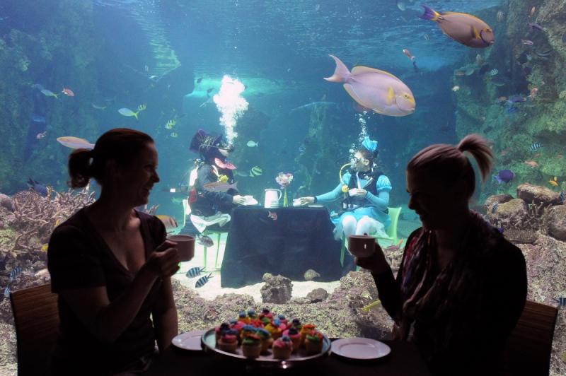 21 mai 2012. Imaginile zilei 12269369