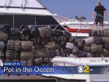 Patru tone de marijuana, descoperite plutind în Oceanul Pacific. Valorea drogurilor pe piaţa neagră: 3,6 milioane de dolari (VIDEO)