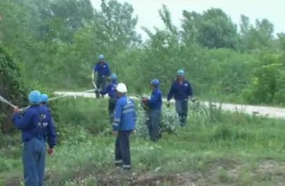 Poluare pe râul Cotmeana, pe o lungime de 4 km, după ce o conductă de ţiţei s-a spart