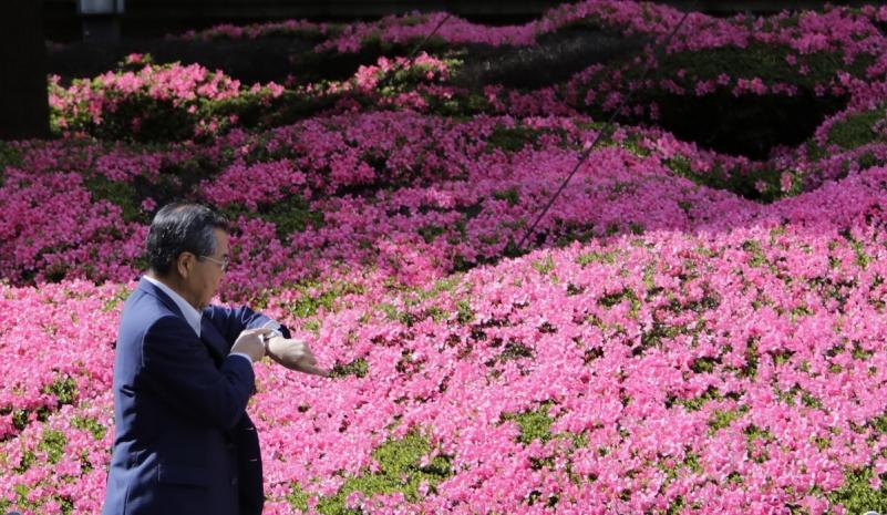 23 mai 2012. Imaginile zilei 12355317