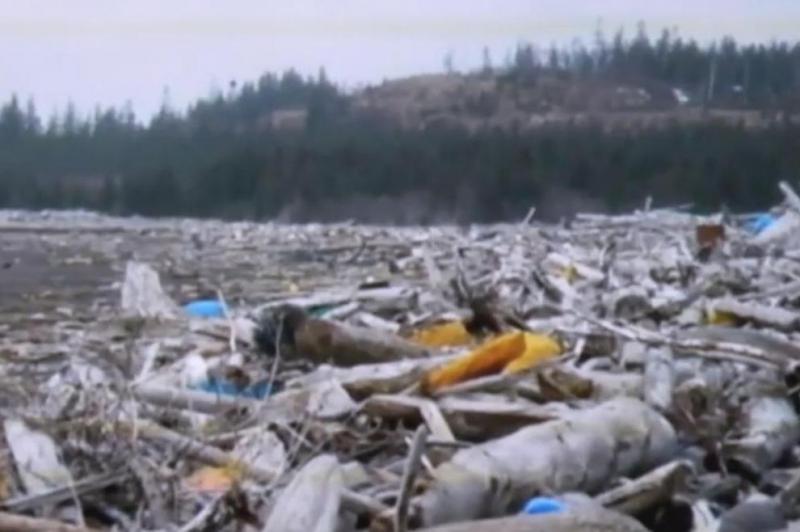 O cantitate "fără precedent" de obiecte luate de tsunamiul din Japonia a eşuat în Alaska (VIDEO)