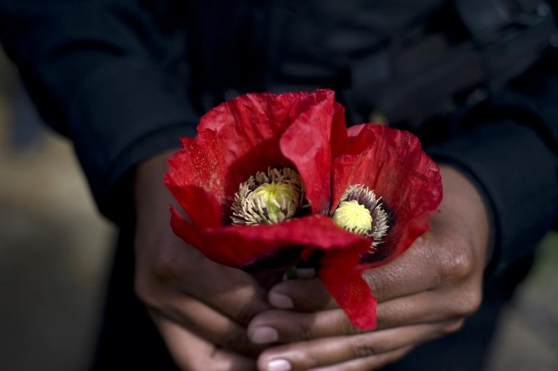 24 mai 2012. Imaginile zilei 12400416