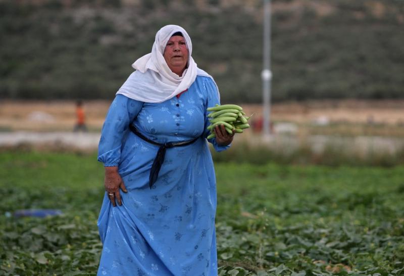 28 mai 2012. Imaginile zilei 12602526