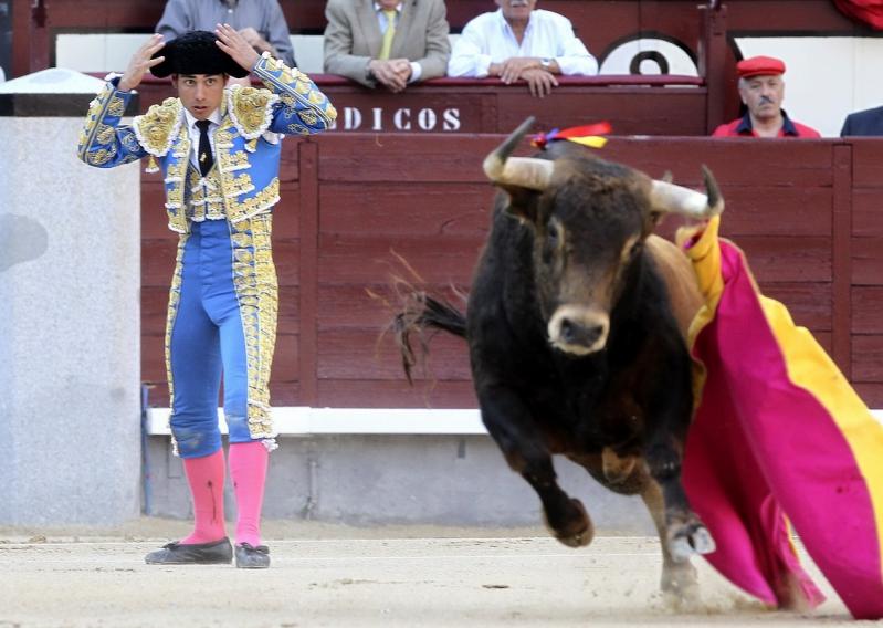 29 mai 2012. Imaginile zilei 12641768