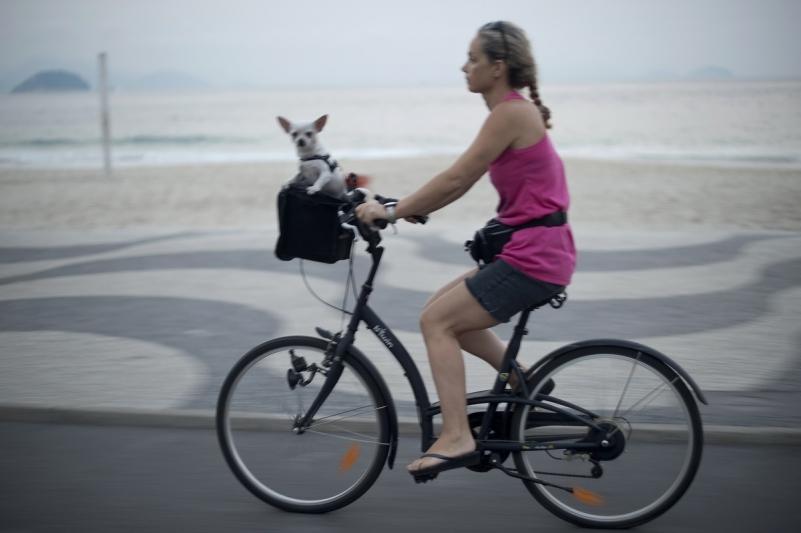 29 mai 2012. Imaginile zilei 12641777