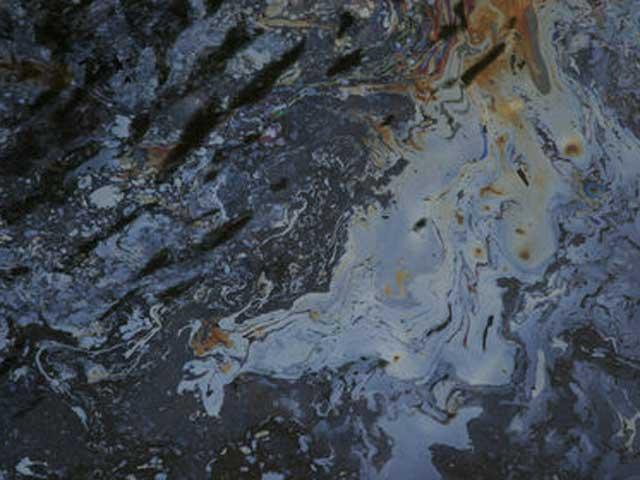 Ministrul Mediului, Rovana Plumb: "Scurgerea de petrol de pe Olteţ, un accident ecologic major"
