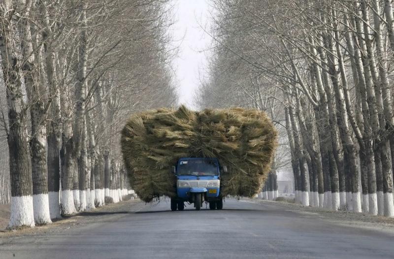 4 iunie 2012. Imaginile zilei 12884696